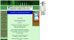 Desktop Screenshot of bojlercsere.hu
