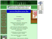 Tablet Screenshot of bojlercsere.hu